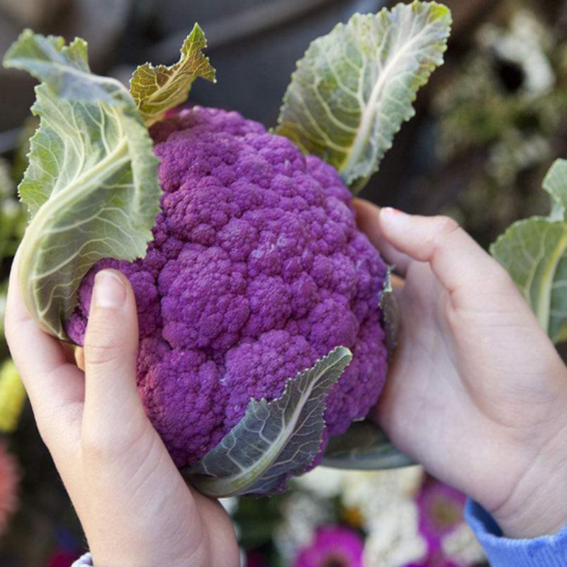 Graffiti Dark Purple Cauliflower Seeds