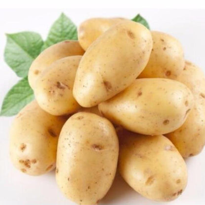 Yellow Potato Seeds