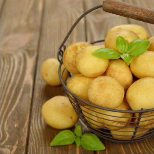 Yellow Potato Seeds