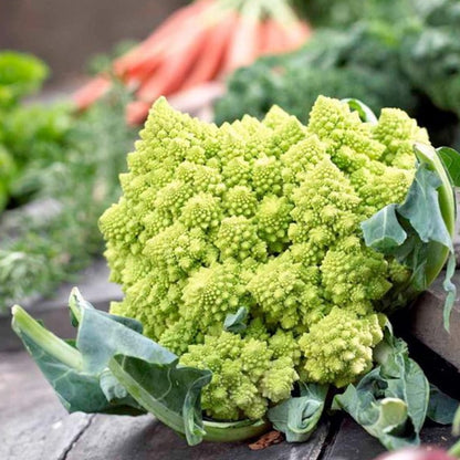 Multi Layered Snowy Cauliflower Seeds