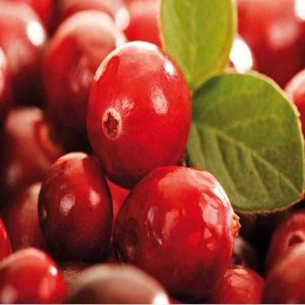 Wild Cranberry Cherry Seeds