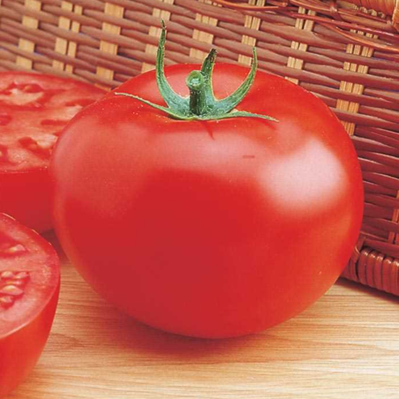 High Yield Tomato Seeds