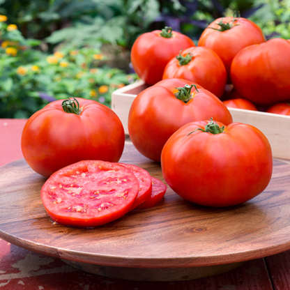 High Yield Tomato Seeds