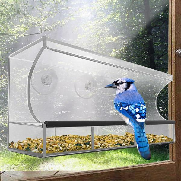 Solar Bird Feeder