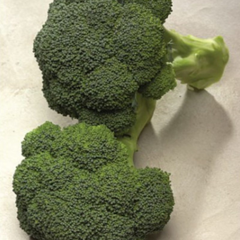 Fresh High Yield Broccoli Seeds
