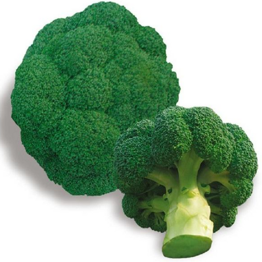 Fresh High Yield Broccoli Seeds