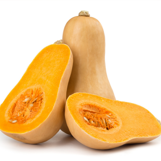 Organic Butternut Squash Seeds