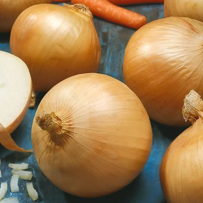 Nutritional Subtropic Candy Onion Seeds