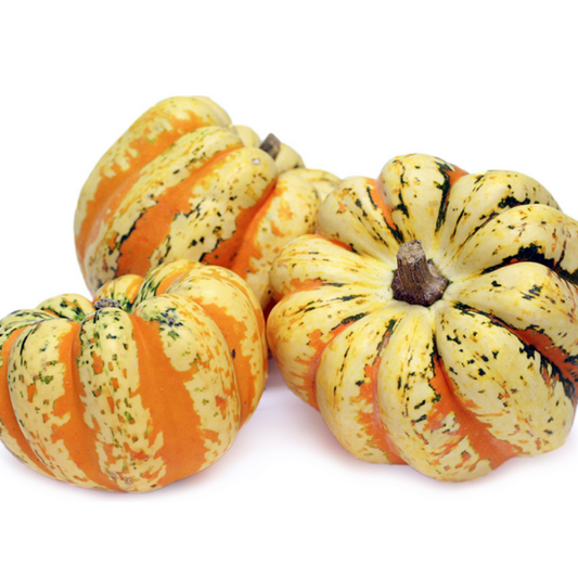 Small Carnival Squash Seeds