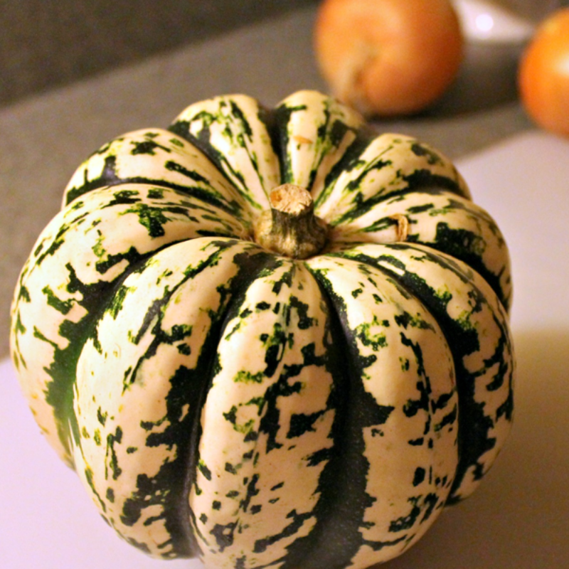 Small Carnival Squash Seeds