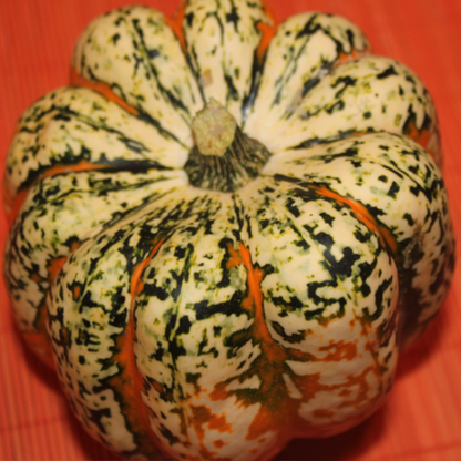 Small Carnival Squash Seeds