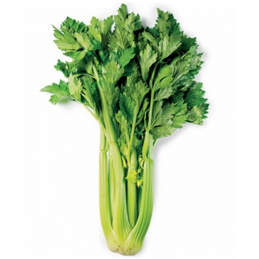100 Pieces Mini Celery Vegetable Seeds