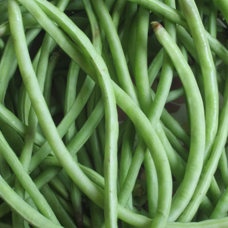 Cow Pea Seeds