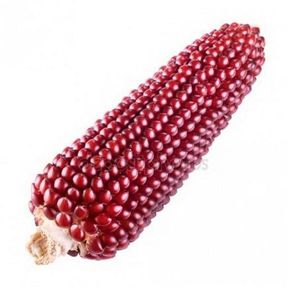 Strawberry Popcorn Seeds