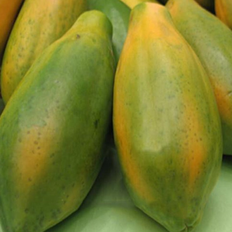 Green Layered Pulpy Orange Papaya Seeds