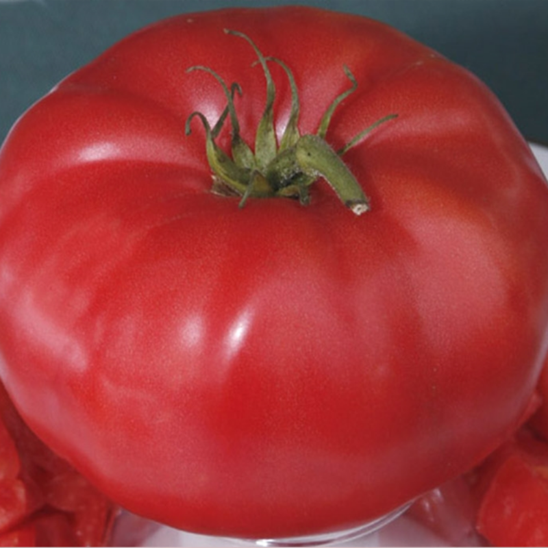 Giant Monster Tomato Seeds