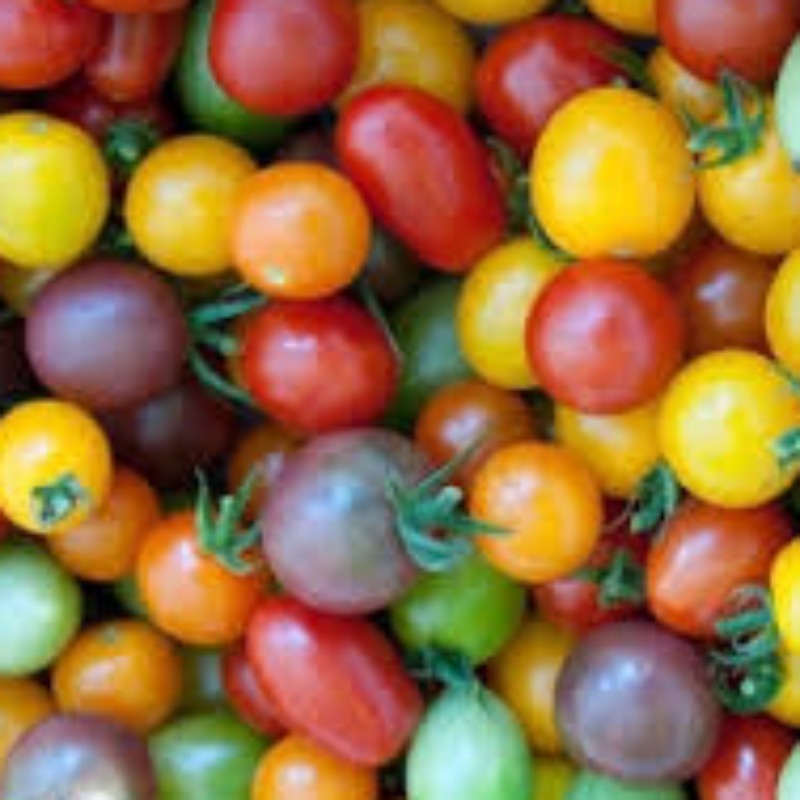 Colorful Cherry Tomatoes Vegetable Seeds