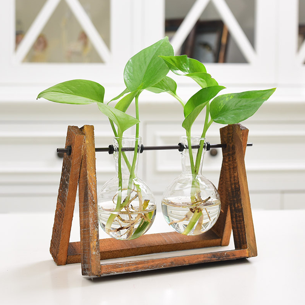 Hydroponics Plant Vase