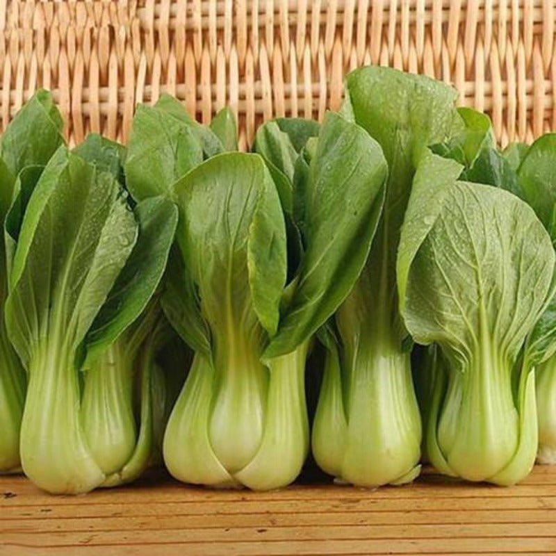 Green Cabbage Seeds For Home Gardening