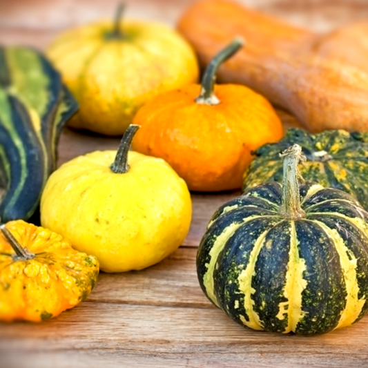 Pack Of Small Gourd Seeds