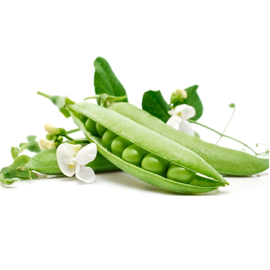 Crunchy Snow Pea Seeds