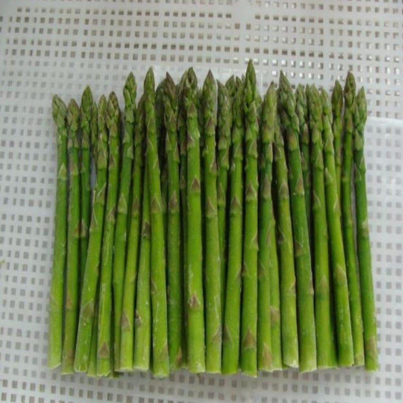 Greeny Thin Sharp Cone Asparagus Plant Seeds