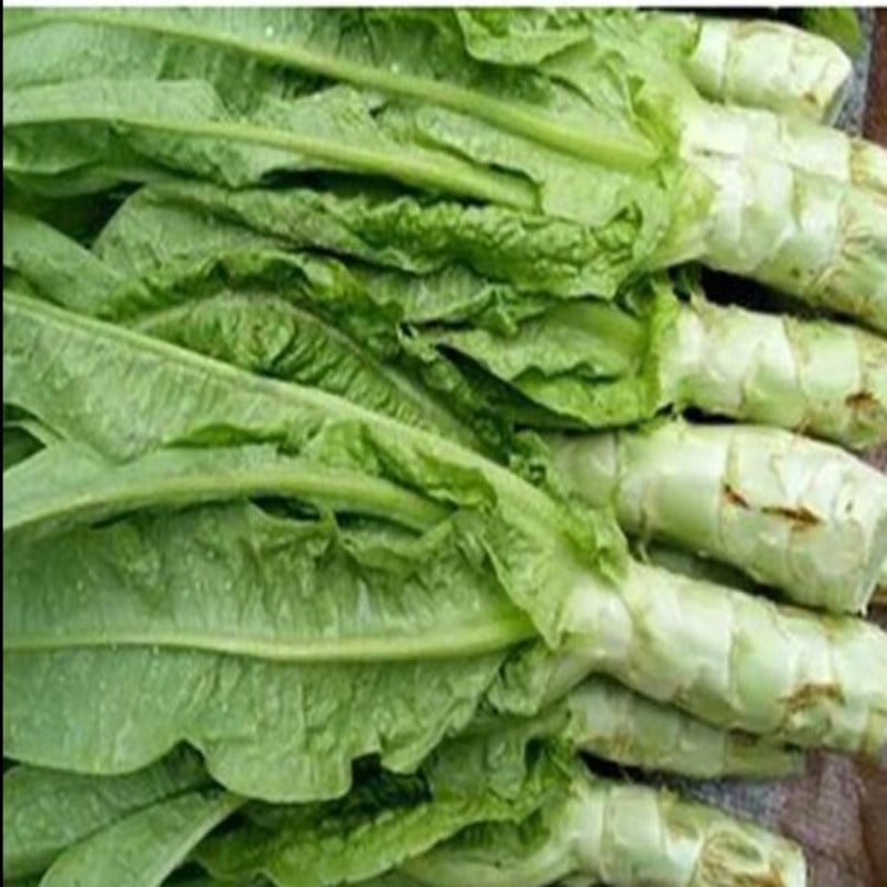 Italian Asparagus Lettuce Vegetable Seeds