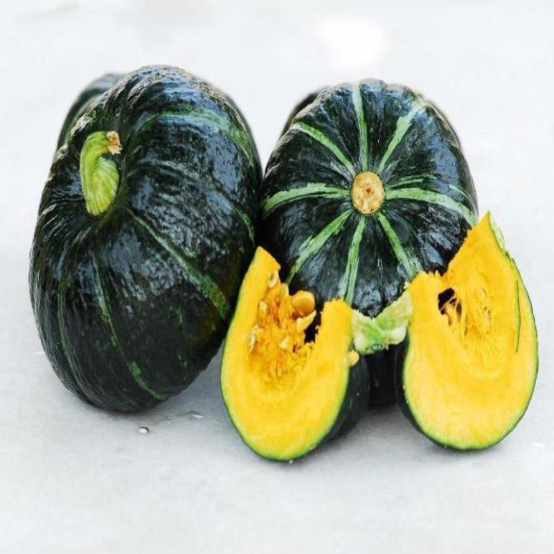 Green Pumpkin Nursery Seeds