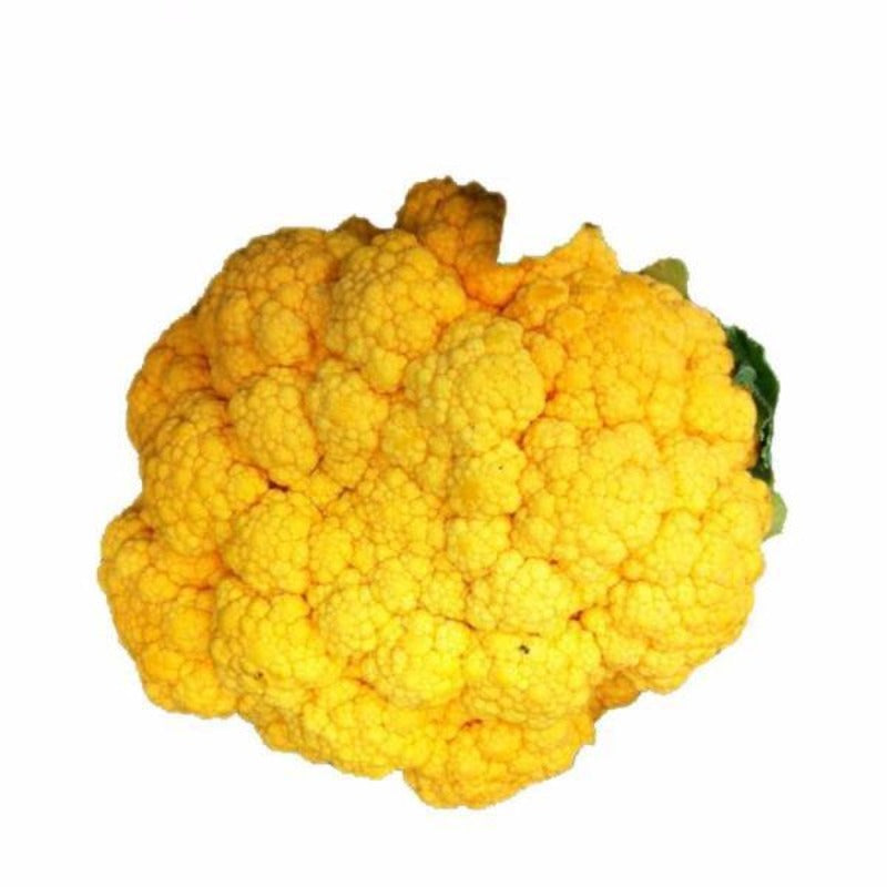 Golden Cauliflower Vegetable Seeds