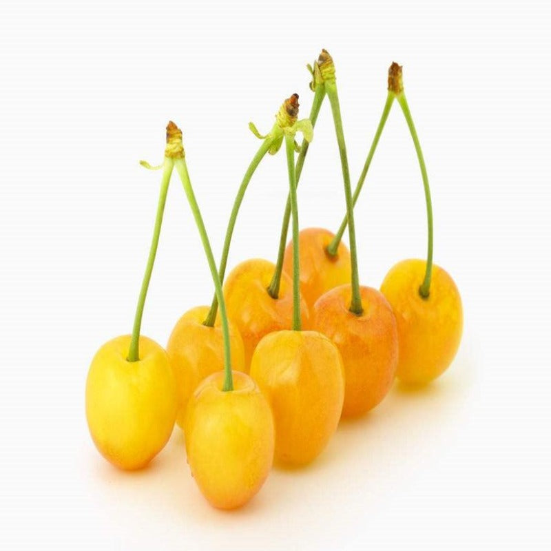 Asian Golden Yellow Cherry Fruit Seeds